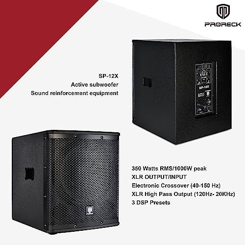 12 inch 1000W Powered PA Subwoofer with Class-D Amplifier V5129