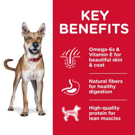 Chicken & Barley Recipe Dry Dog Food T221785