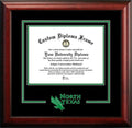 North Texas Mean Green Spirit Diploma Frame J7185