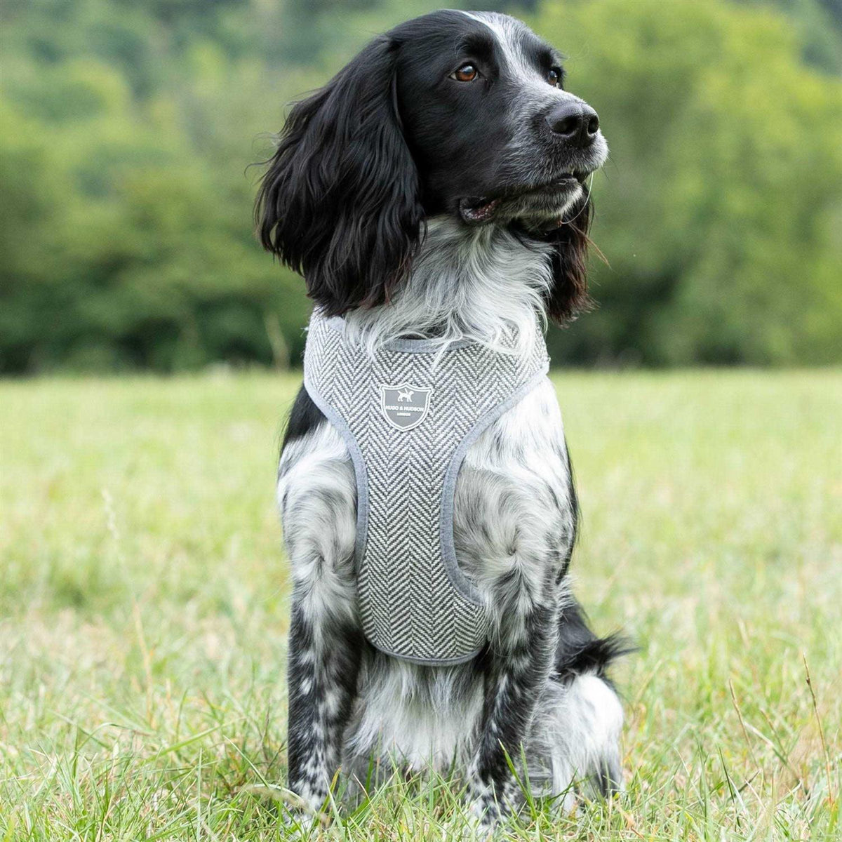 Tweed Dog Harness Vest P474974
