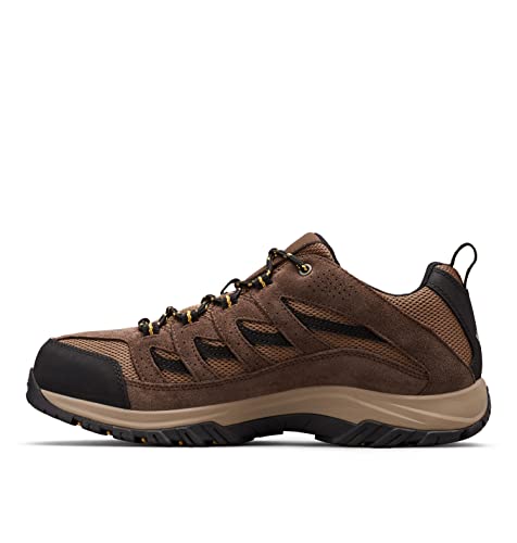 Men's Hiking Shoe I493