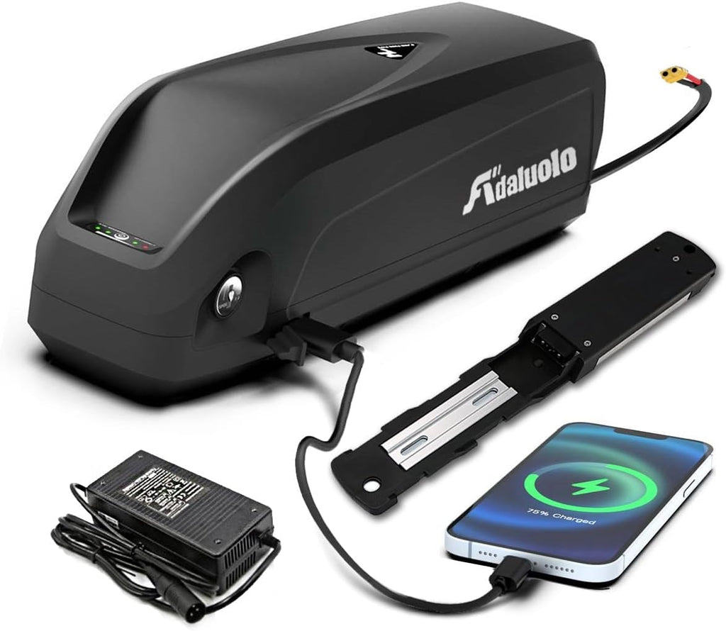 48V 20AH Lithium ion Electric Bike Battery Pack with Charger A536