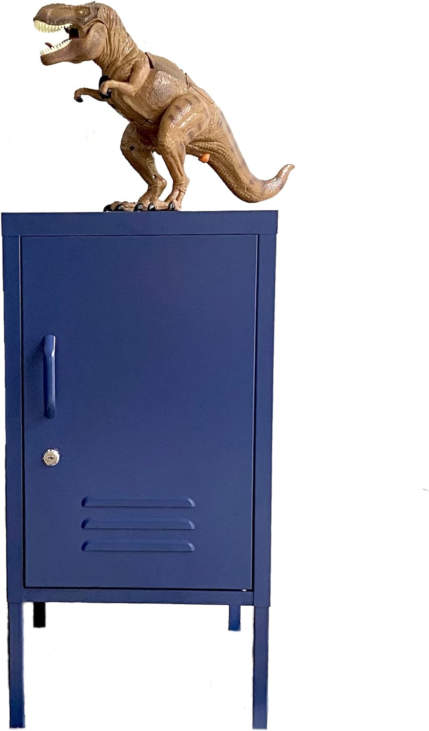 Metal Storage Cabinet End Table T887823