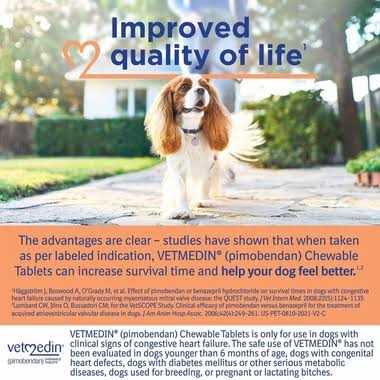 Chewable Tablets 1.25mg Y7615