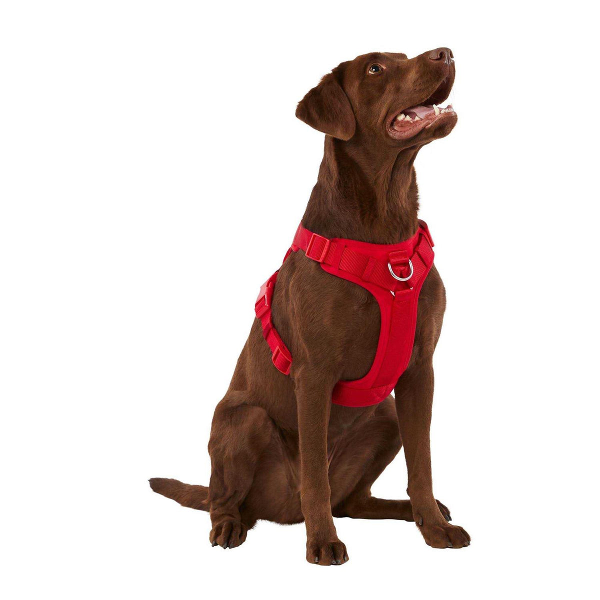 Neoprene Dog Harness H56295