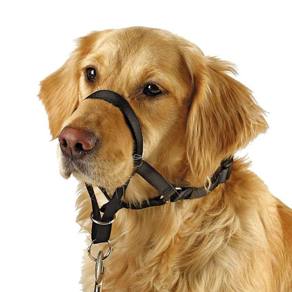Dog Head Collar No Pull Training Tool K4277