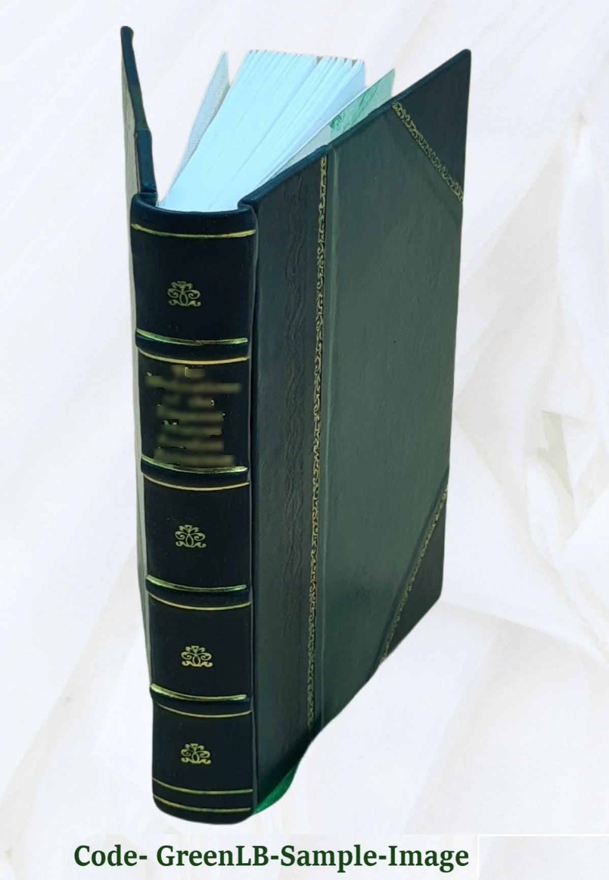 Leather Bound Novel T97942
