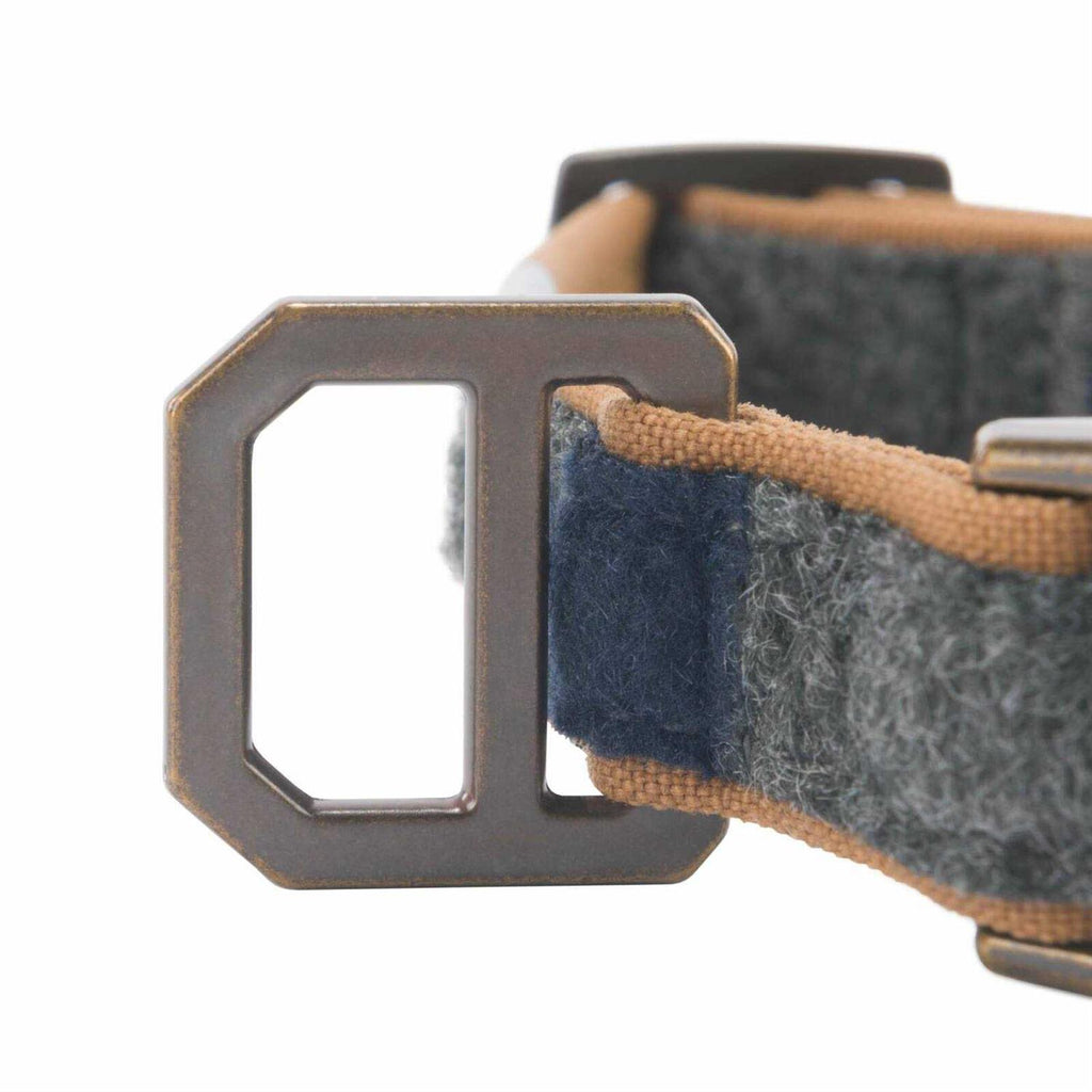 Nylon Dog Collar B896