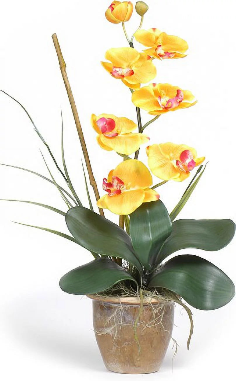 Silk Orchid Plant C68795
