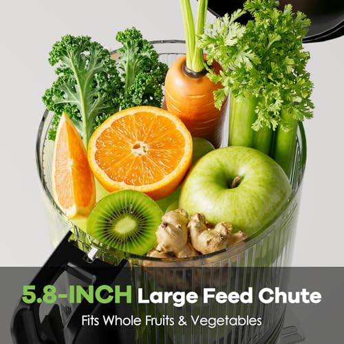 Cold Press Juicer 5.8" Wide Feed Chute 400W Slow Masticating Juicer W715