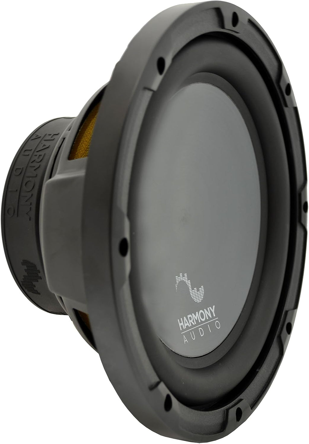 Dual 10 Sub Box Enclosure V8749