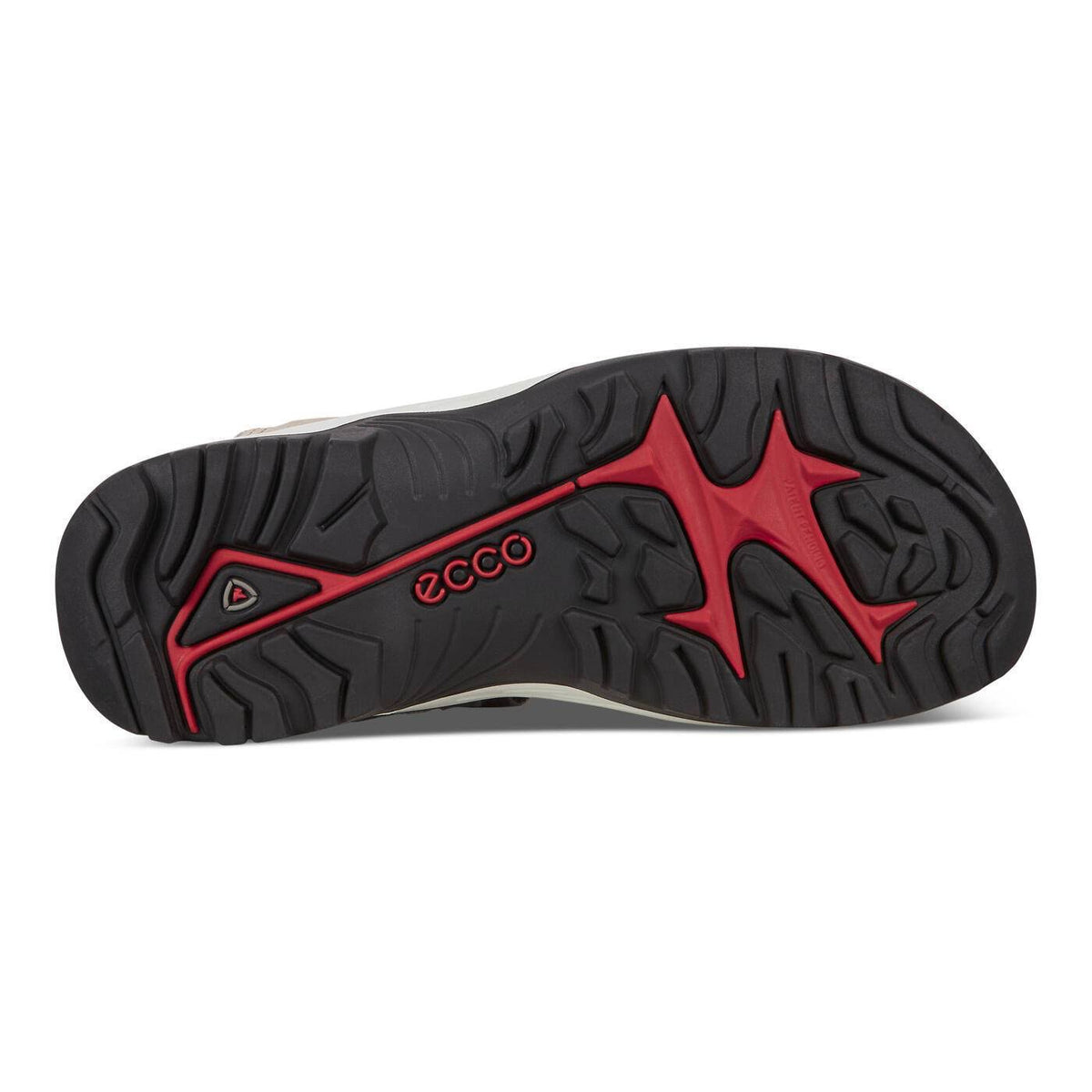Multicolor Shoes G6928