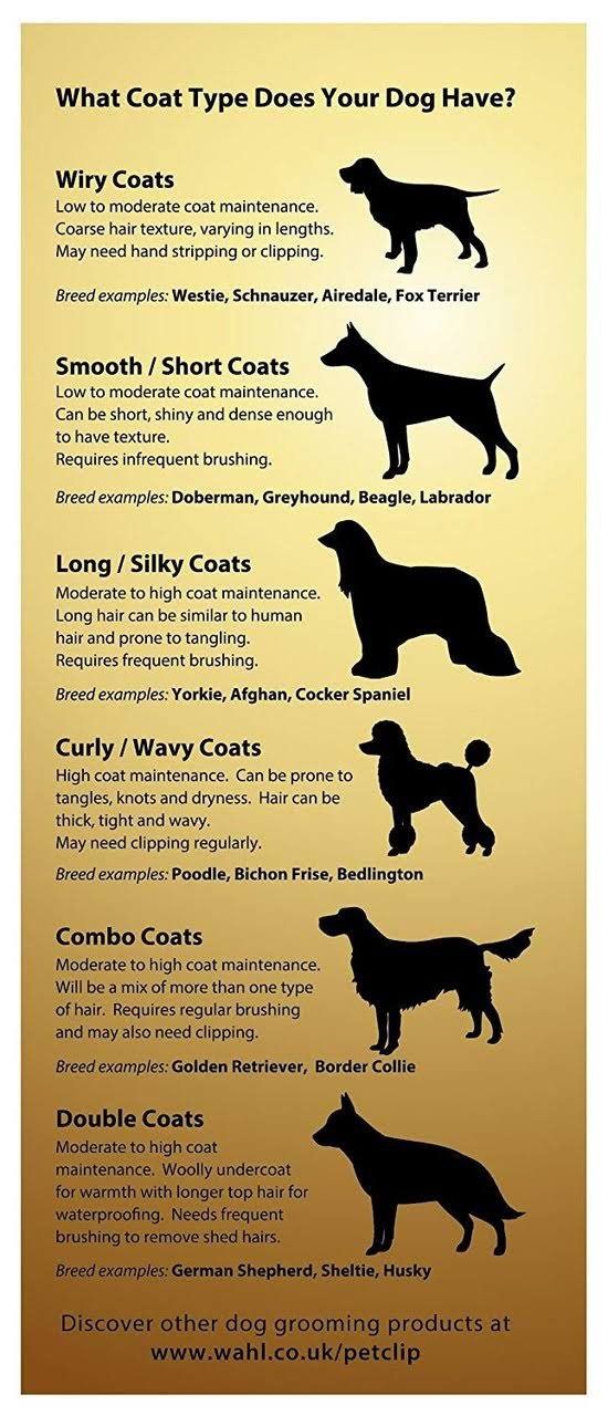 Pet Clipper X34147