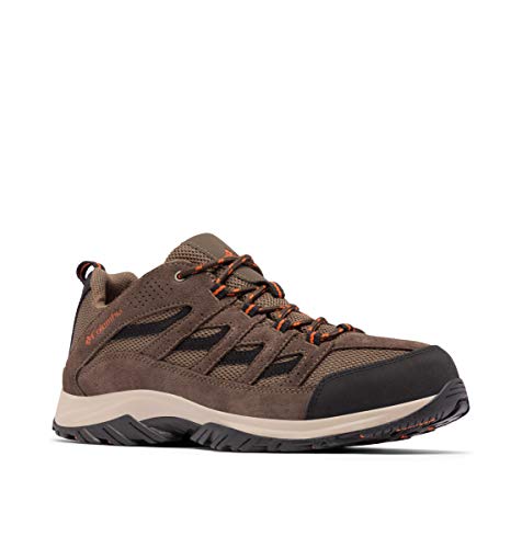 Men's Hiking Shoe I493