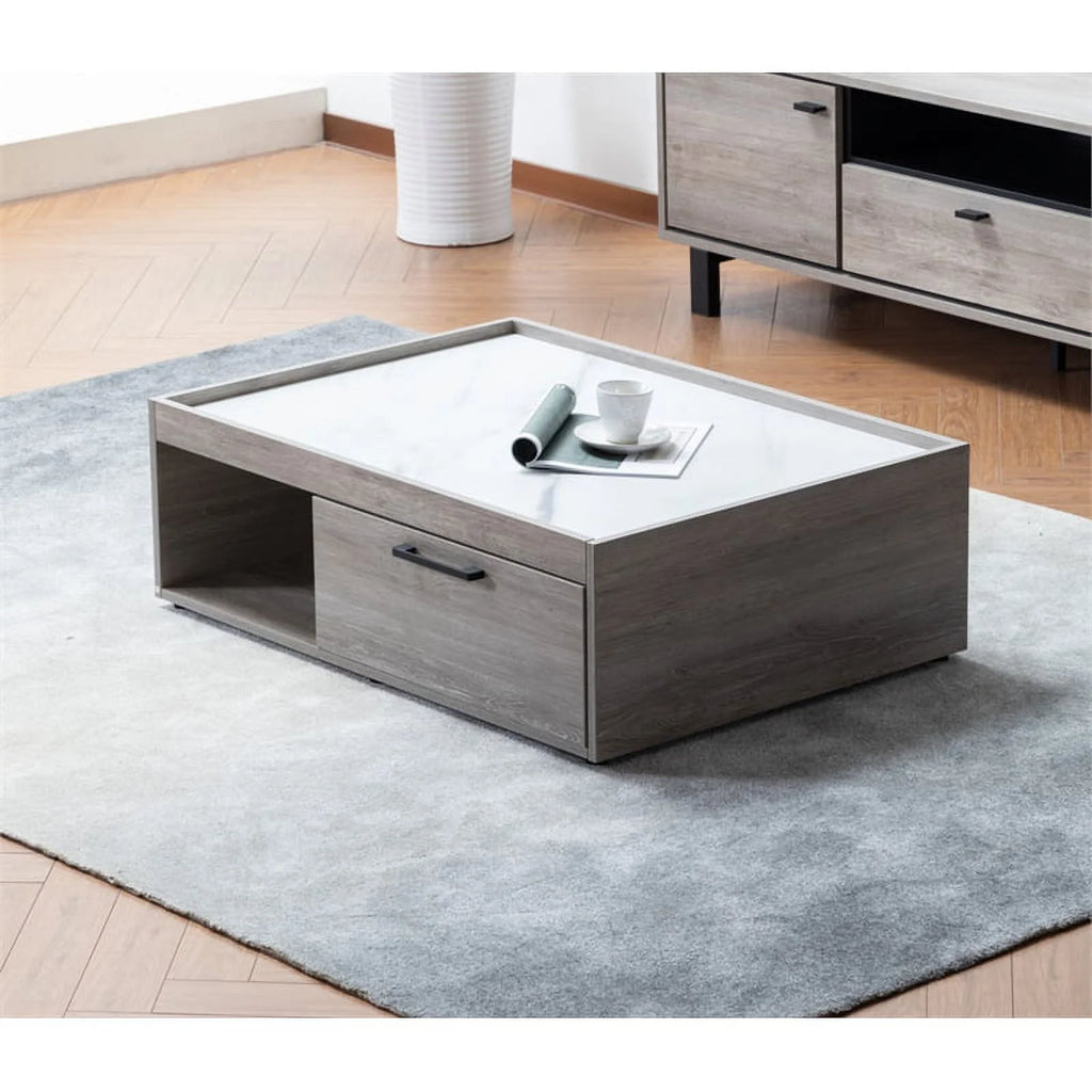 2-Piece Sleeper Sofa and Coffee Table Set I107521