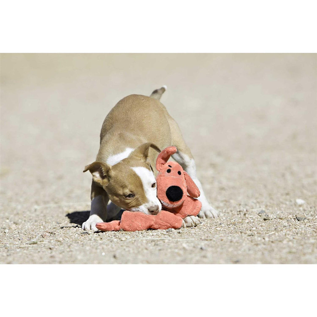 Dog Toy C519970