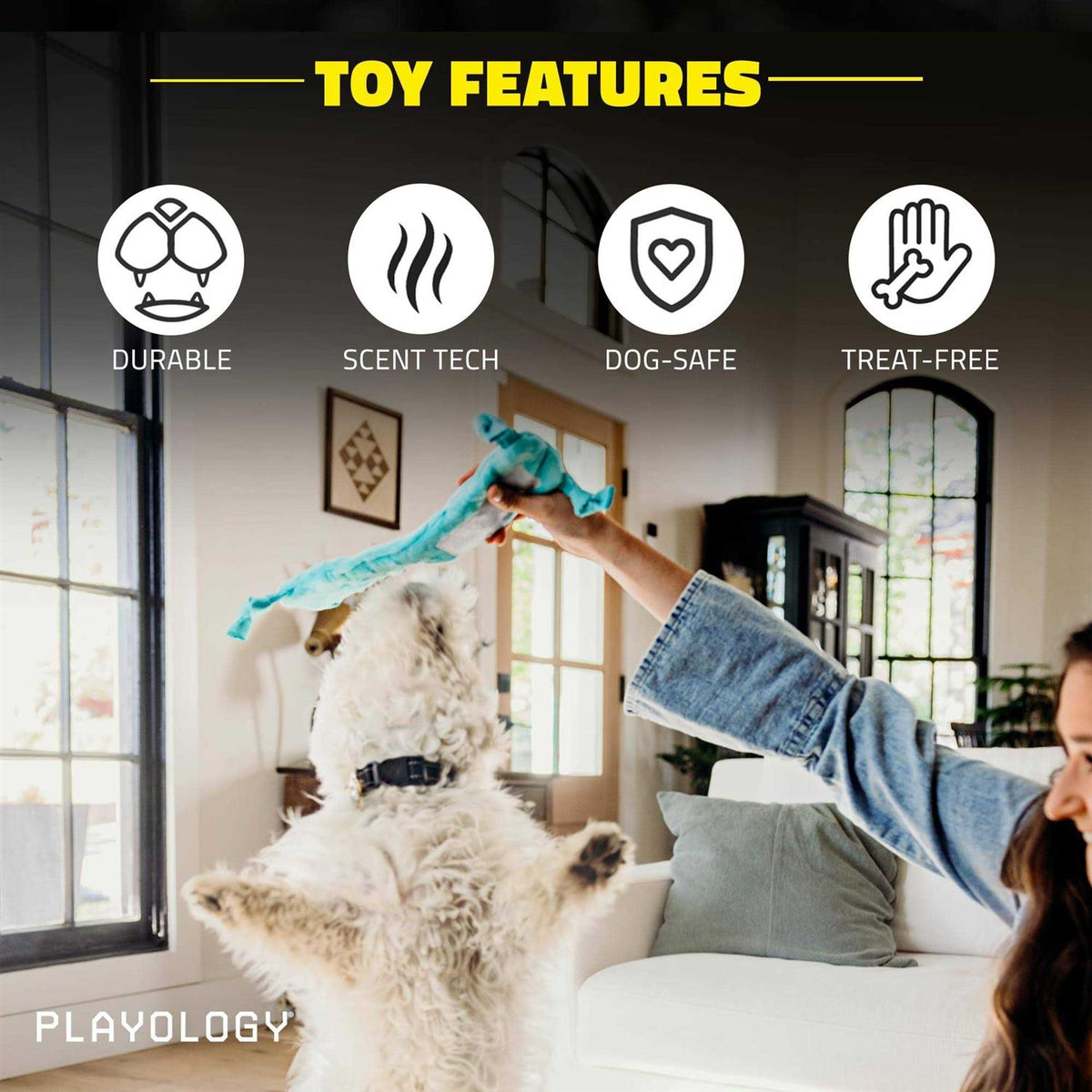 Snail Dog Toy D832