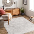 Gray Area Rug X913