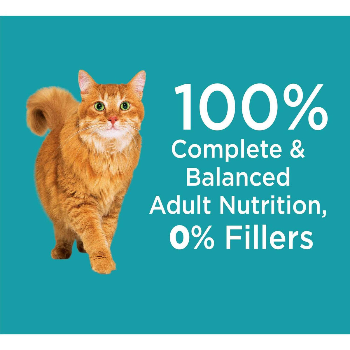 Indoor Dry Cat Food C769490