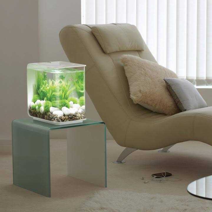 FLOW LED Pet Supplies Z9076