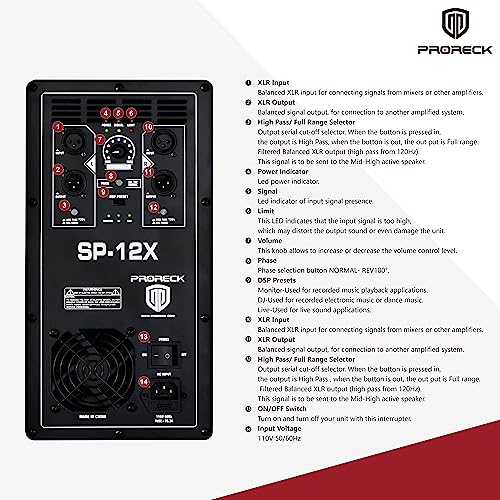 12 inch 1000W Powered PA Subwoofer with Class-D Amplifier V5129
