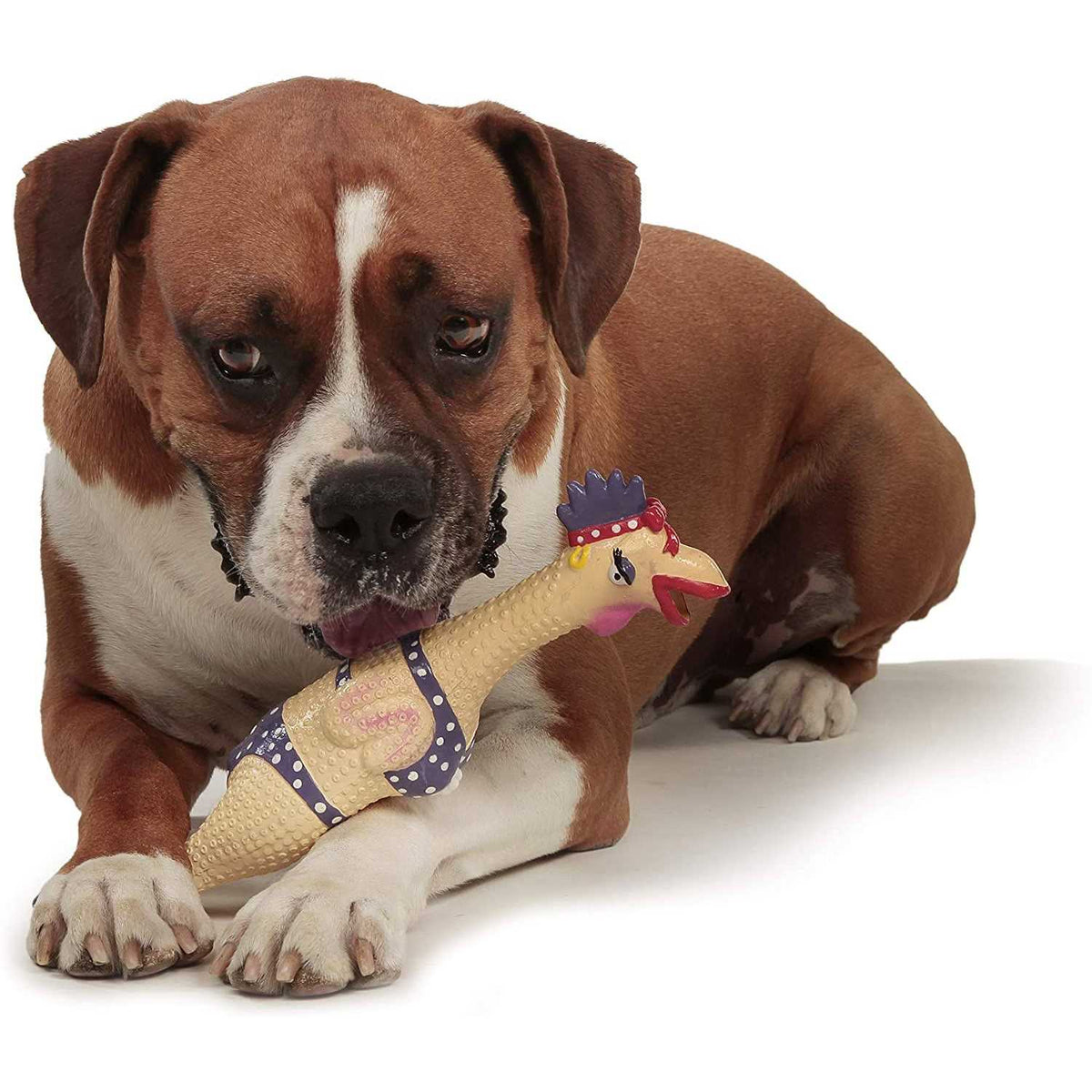 Dog Toy D69637