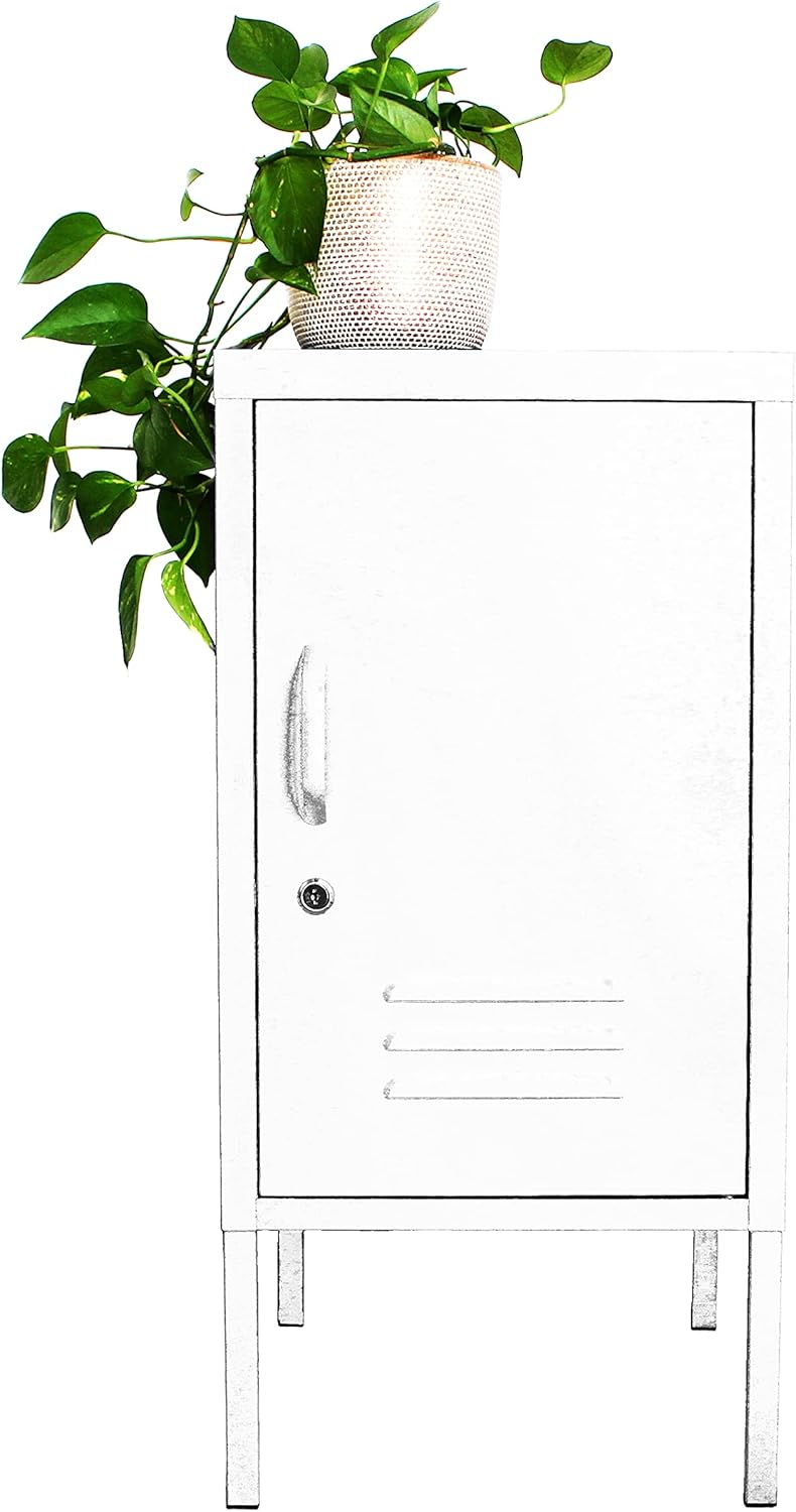 Metal Storage Cabinet End Table T887823