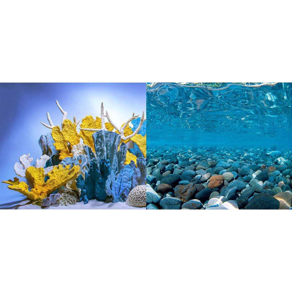 River Rock/Coral Bliss Background K283643