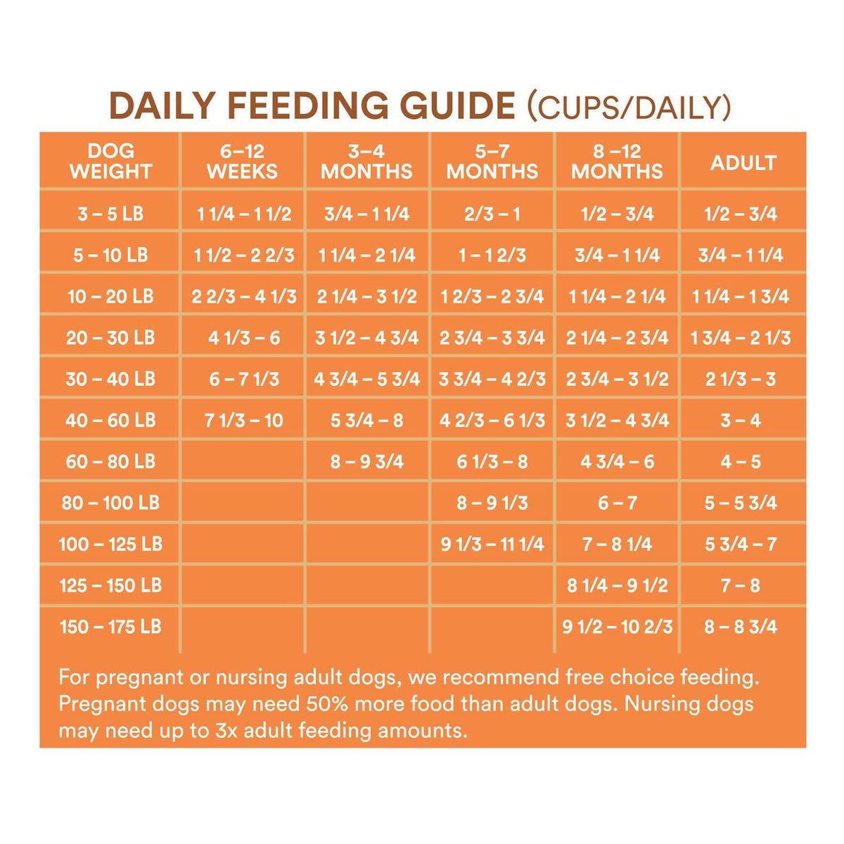 Chicken and Rice Recipe Dry Dog Food M363808