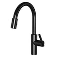 Gloss Black Pull-Down Kitchen Faucet M4058