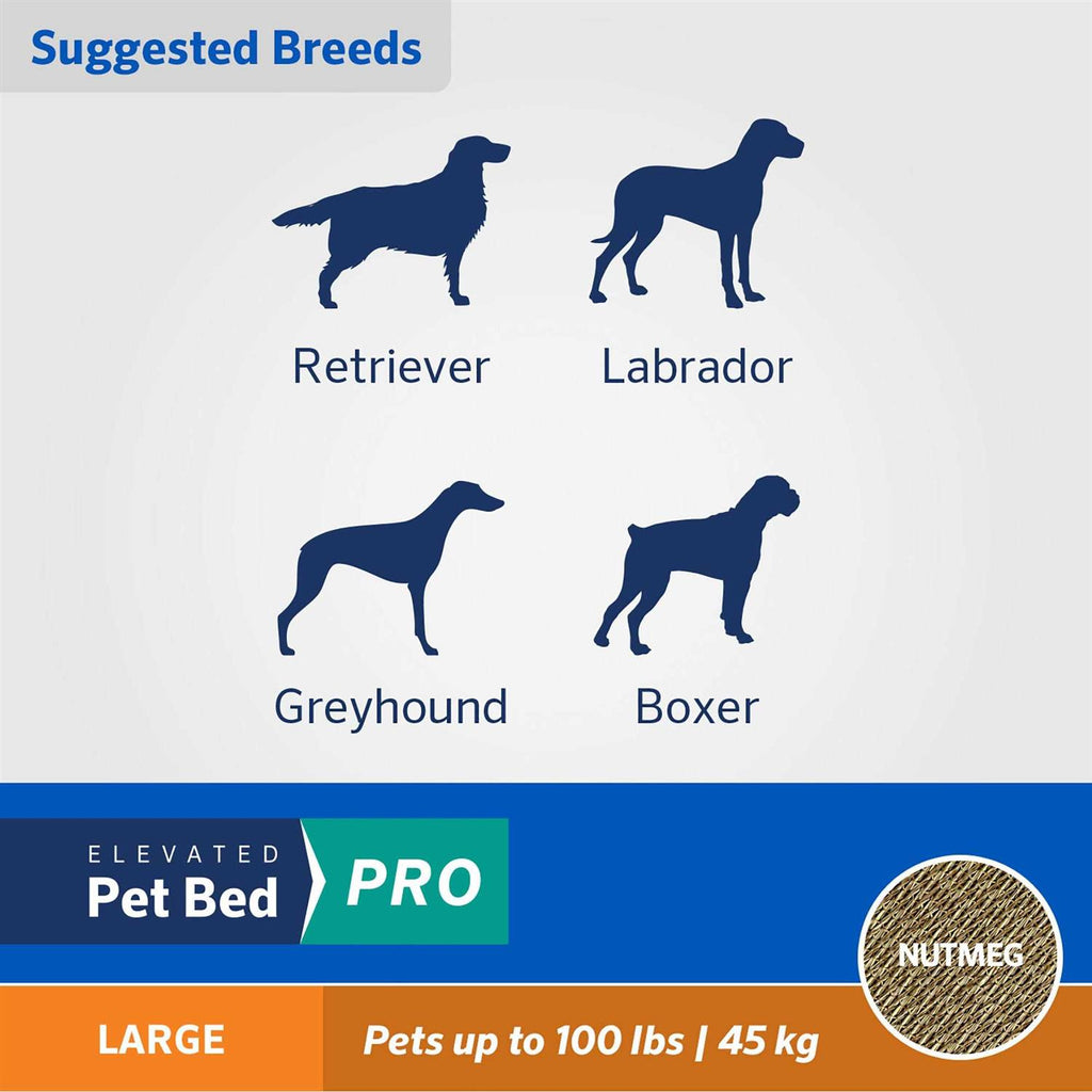 Elevated Pet Bed U979116