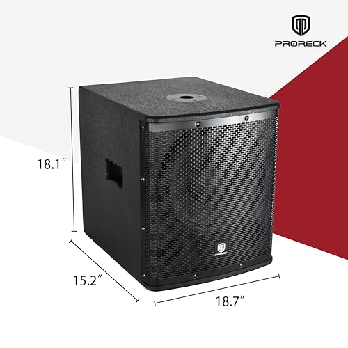 12 inch 1000W Powered PA Subwoofer with Class-D Amplifier V5129