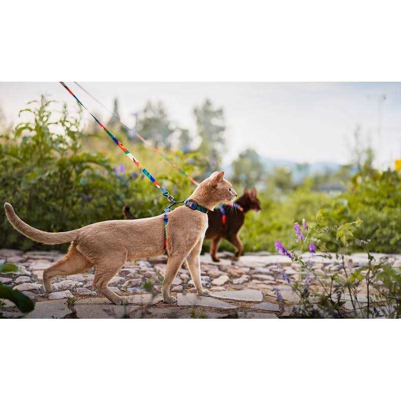 Cat Harness and Leash Set Escape Proof Adjustable W60854
