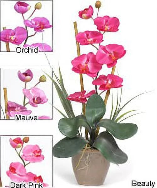 Silk Orchid Plant C68795