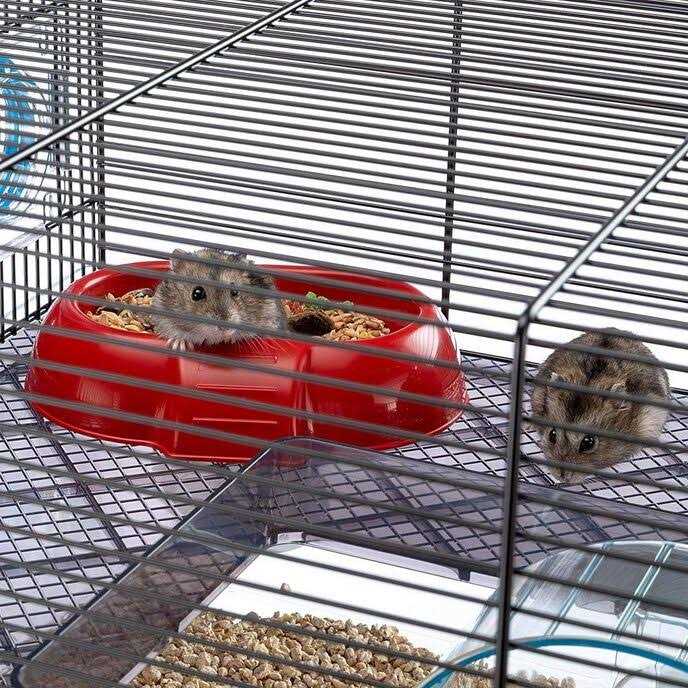 Large Hamster Cage with Water Bottle S316516