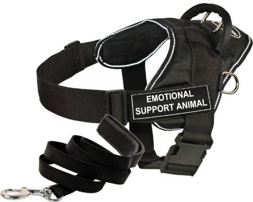 Padded Puppy Leash U874