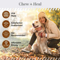 Pet Supplies N1708