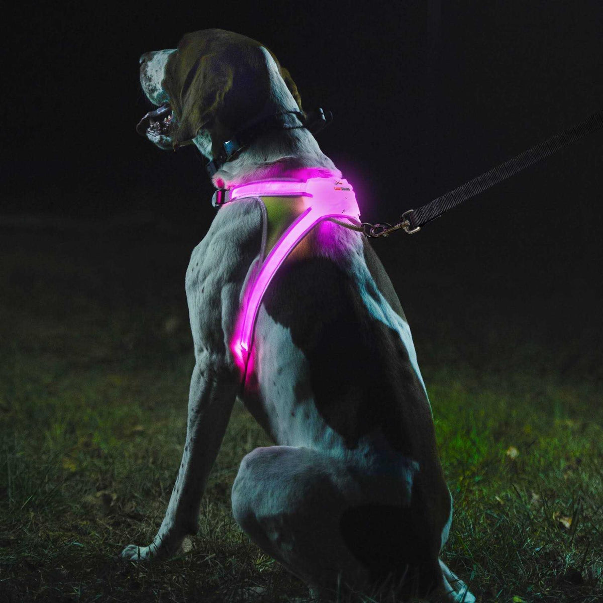 LED Reflective Dog Harness E3059