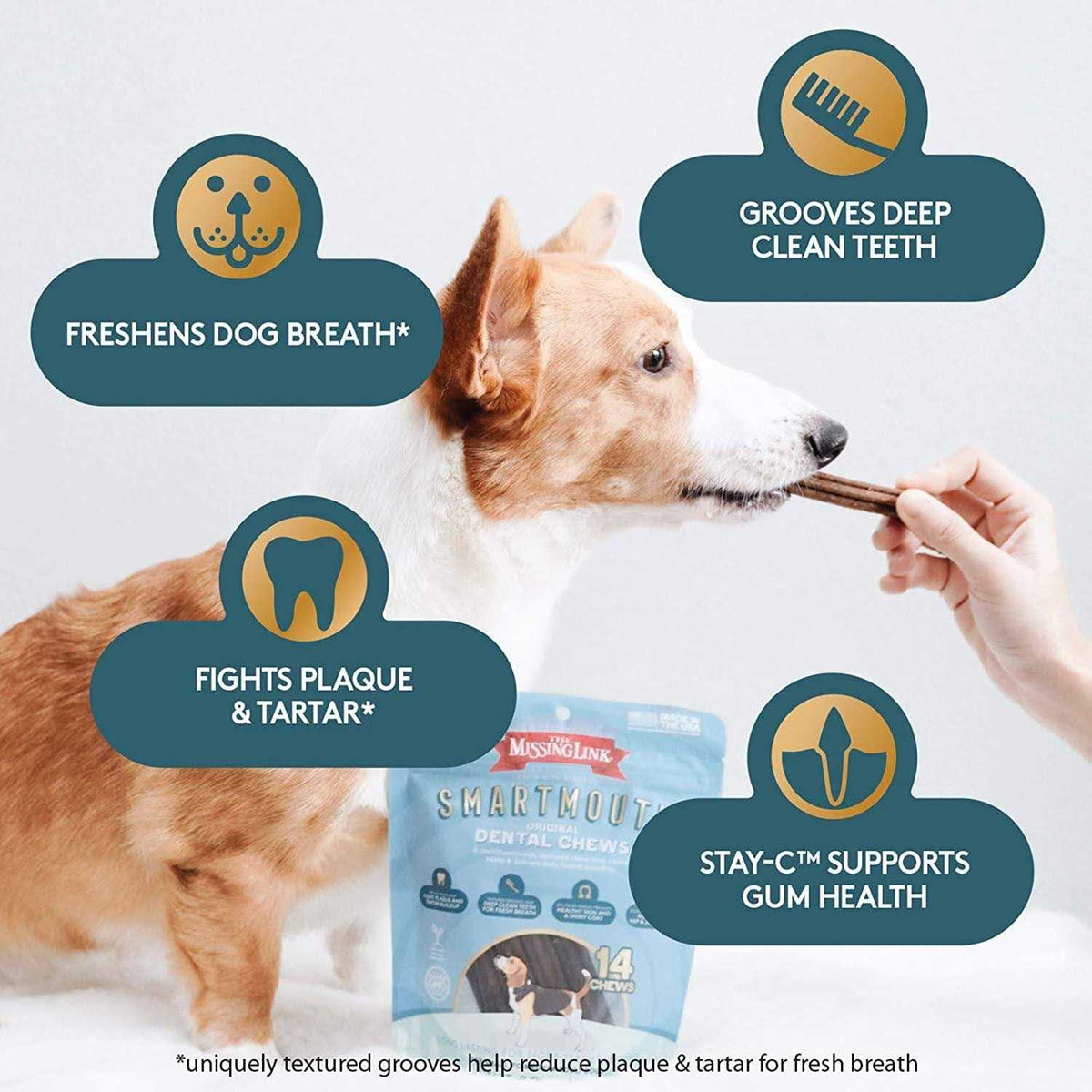 Smartmouth Dental Chews for Dogs W488669