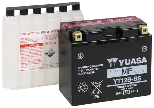 AGM Battery J119