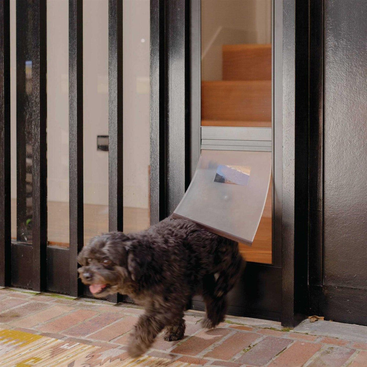 Black Patio Dog & Cat Door R89286