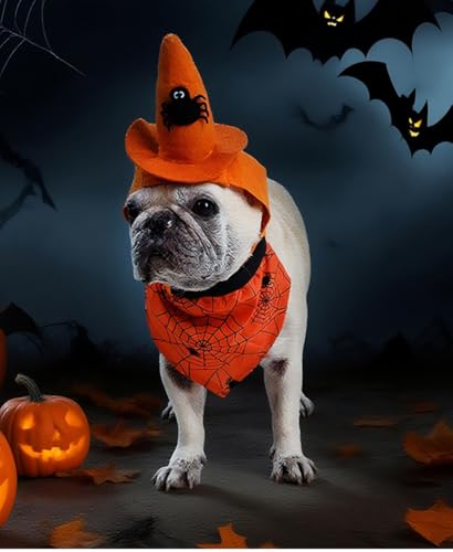 Dog Halloween Costumes 2Pcs Set Witch Hat and Bandana Black U5195
