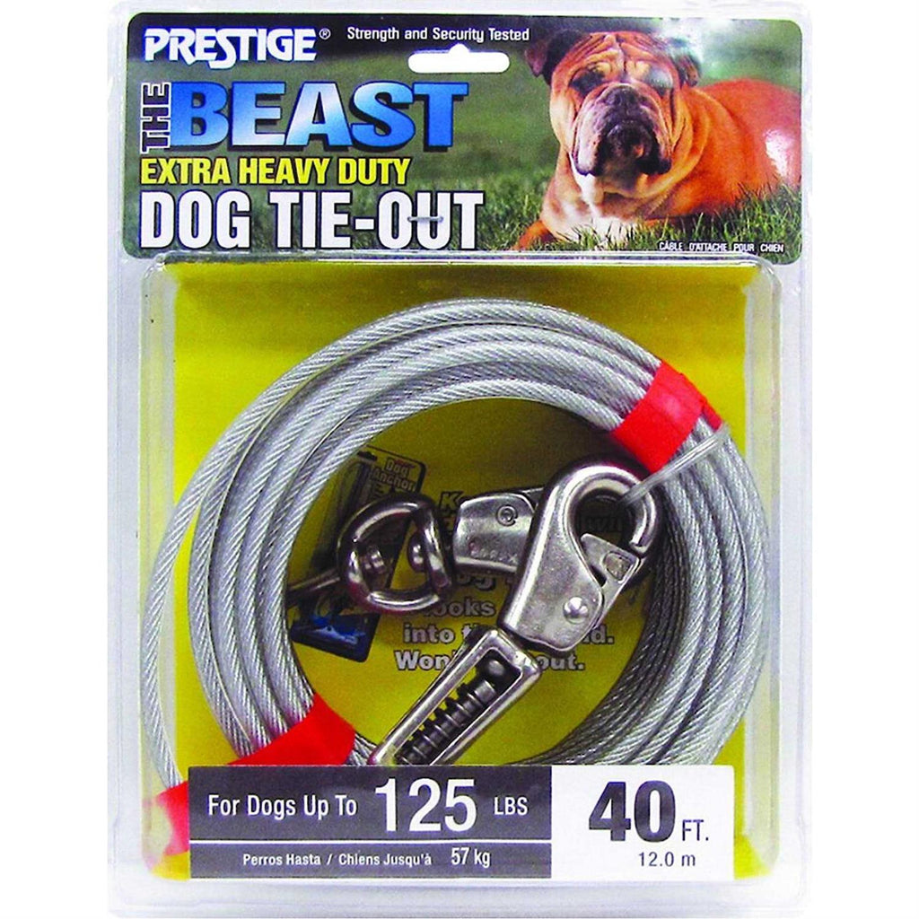 15ft XL Dog Tie-Out with Spring M5072
