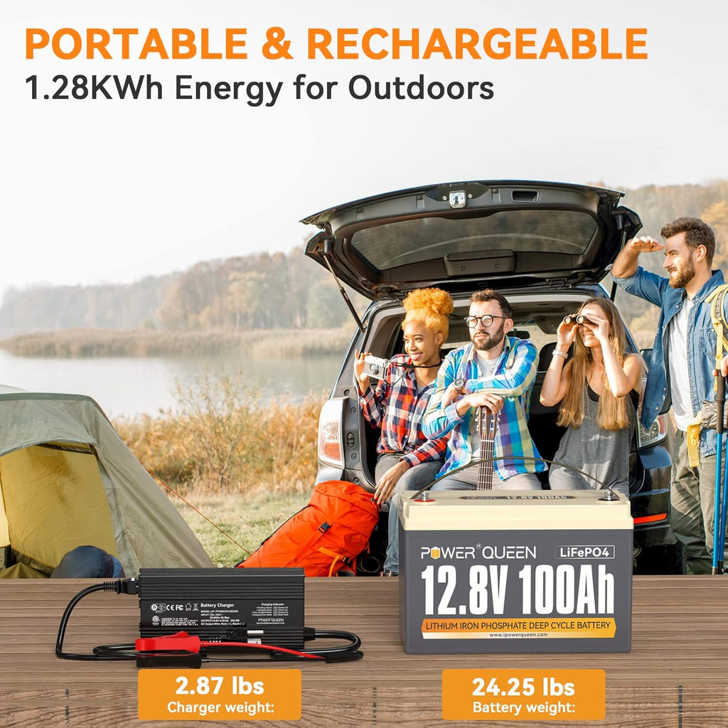12.8V 100Ah LiFePO4 Battery with 14.6V 20A LiFePO4 Battery Charger M544