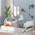White Twin Size Wood Daybed with 2 Drawers G229