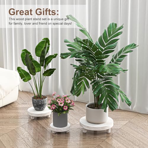 3 Pcs Wood Plant Stand T871