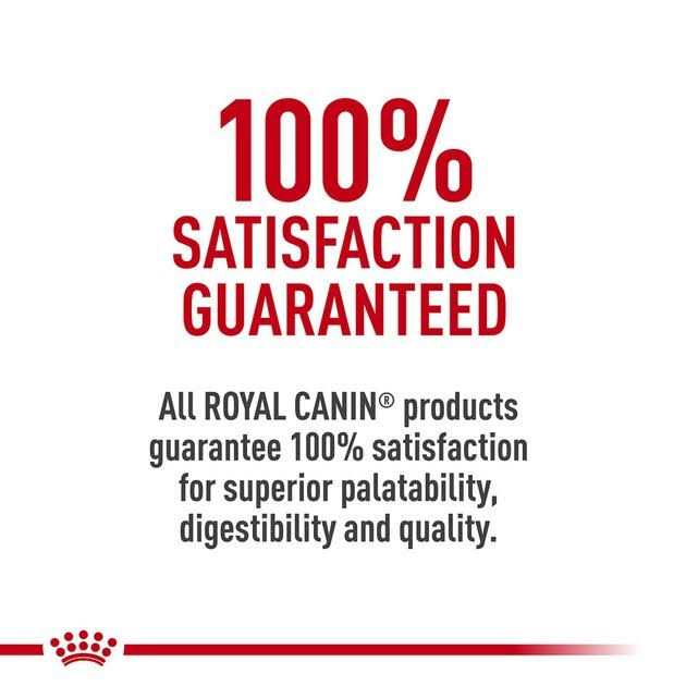 Veterinary Diet Dry Dog Food C216589