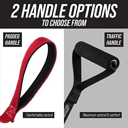 Short Dog Leash D577254