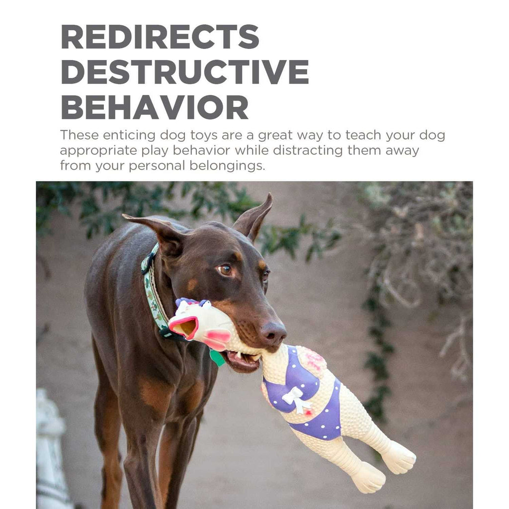 Dog Toy D69637
