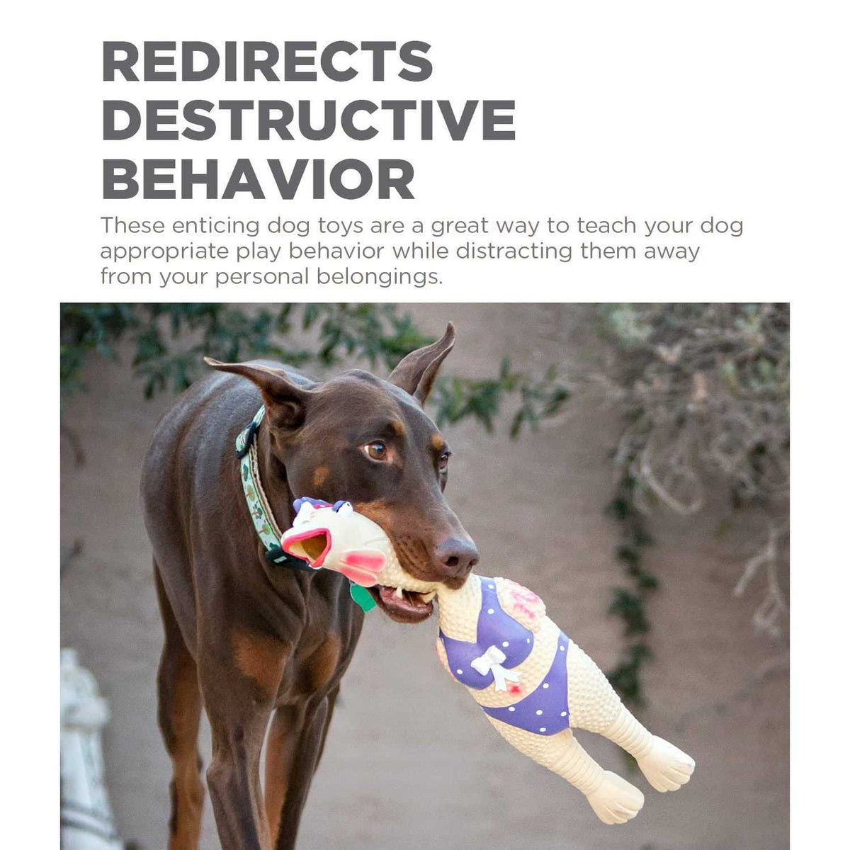 Dog Toy D69637